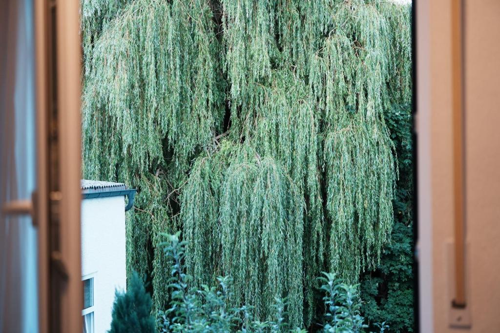 Ferienhaus Zentral Galerie Bild 2