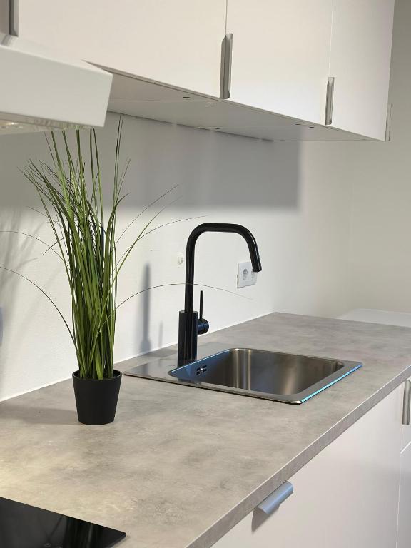 Ferienhaus Zentral Galerie Bild 31